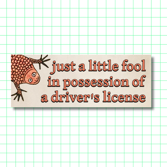 Just a Little Fool - Bumper Sticker