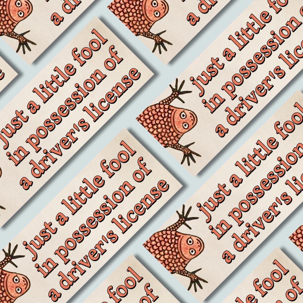 Just a Little Fool - Bumper Sticker
