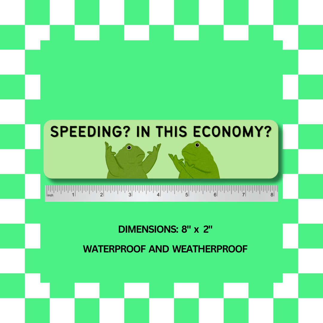 Speeding? In This Economy? - Car Magnet