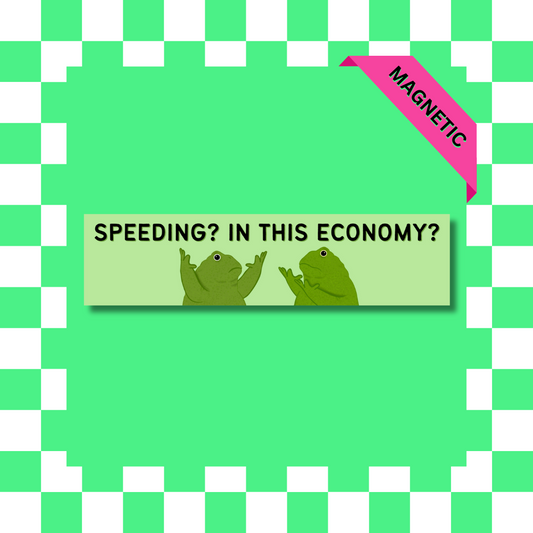 Speeding? In This Economy? - Car Magnet