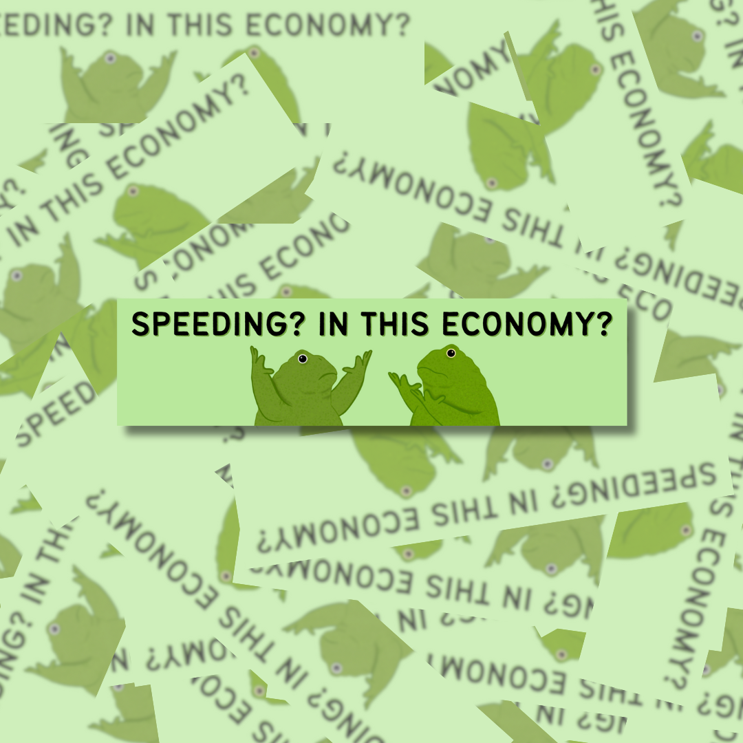 Speeding? In This Economy? - Car Magnet