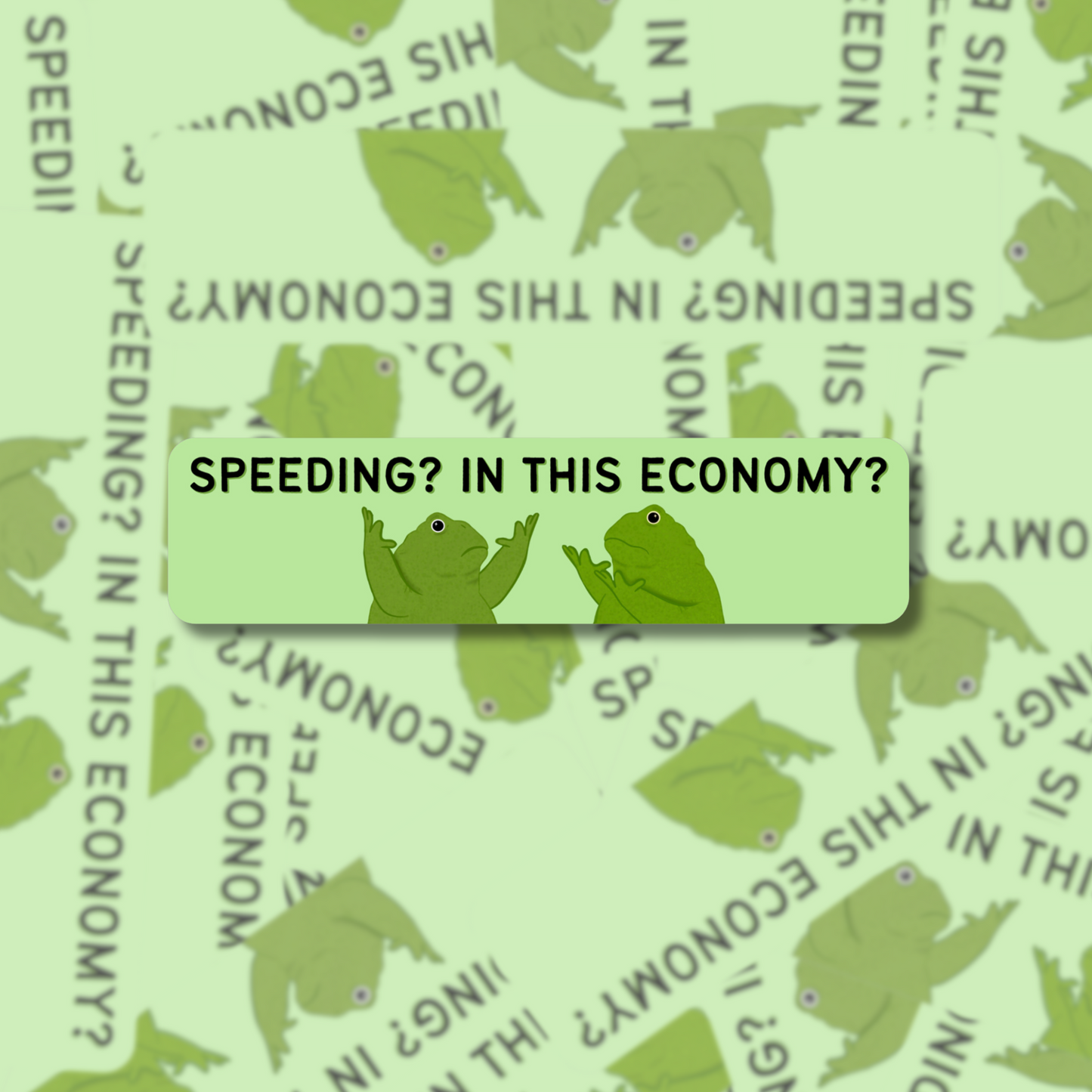 Speeding? In This Economy? - Bumper Sticker