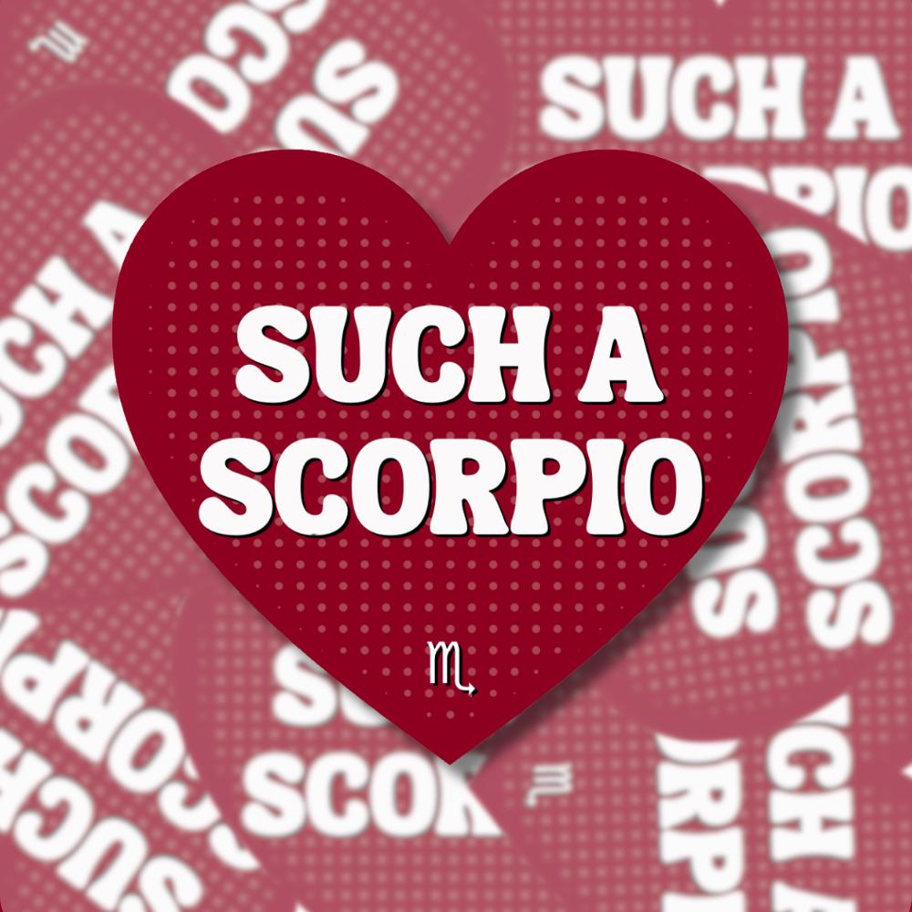 Such a Scorpio Sticker - Zodiac Horoscope Astrology Water Sign Decal